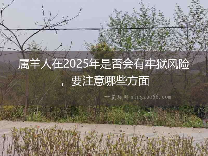 屬羊人在2025年是否會有牢獄風險，要注意哪些方面