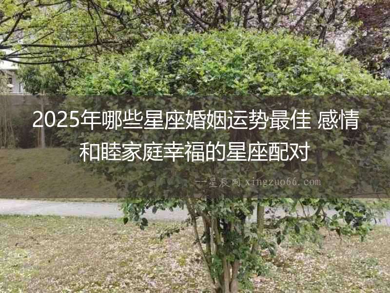 2025年哪些星座婚姻運勢最佳 感情和睦家庭幸福的星座配對