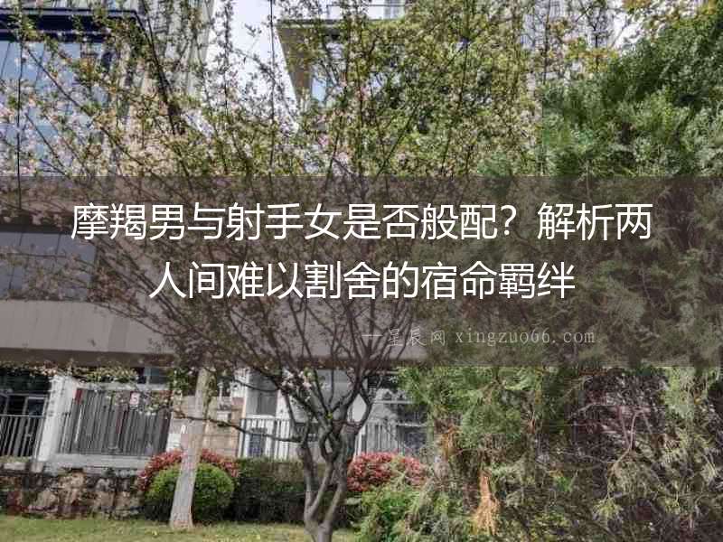 摩羯男與射手女是否般配？解析兩人間難以割舍的宿命羈絆