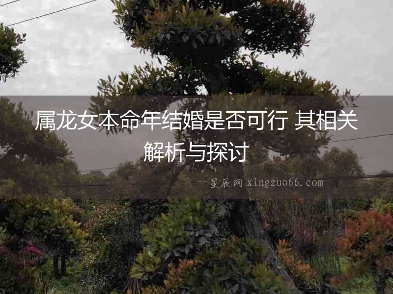 屬龍女本命年結(jié)婚是否可行 其相關(guān)解析與探討
