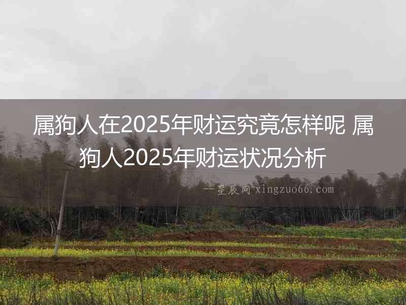 屬狗人在2025年財運究竟怎樣呢 屬狗人2025年財運狀況分析