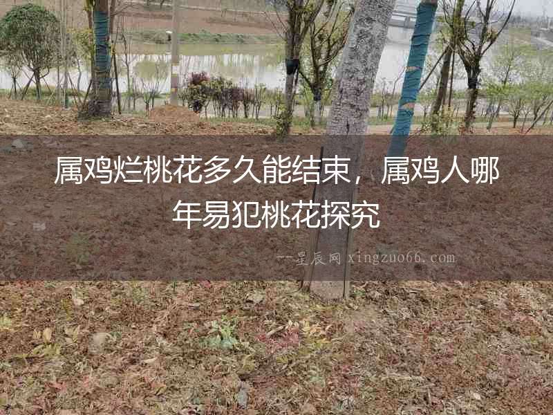 屬雞爛桃花多久能結束，屬雞人哪年易犯桃花探究