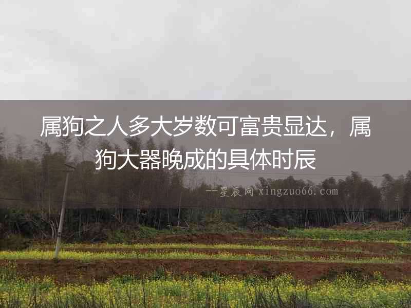 屬狗之人多大歲數可富貴顯達，屬狗大器晚成的具體時辰