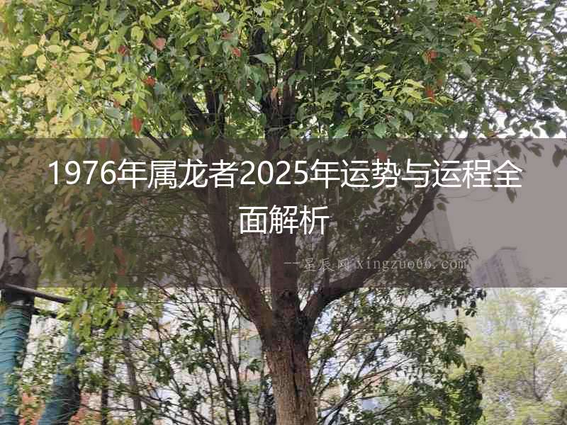 1976年屬龍者2025年運勢與運程全面解析