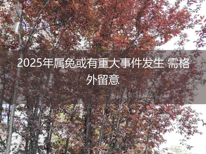 2025年屬兔或有重大事件發生 需格外留意