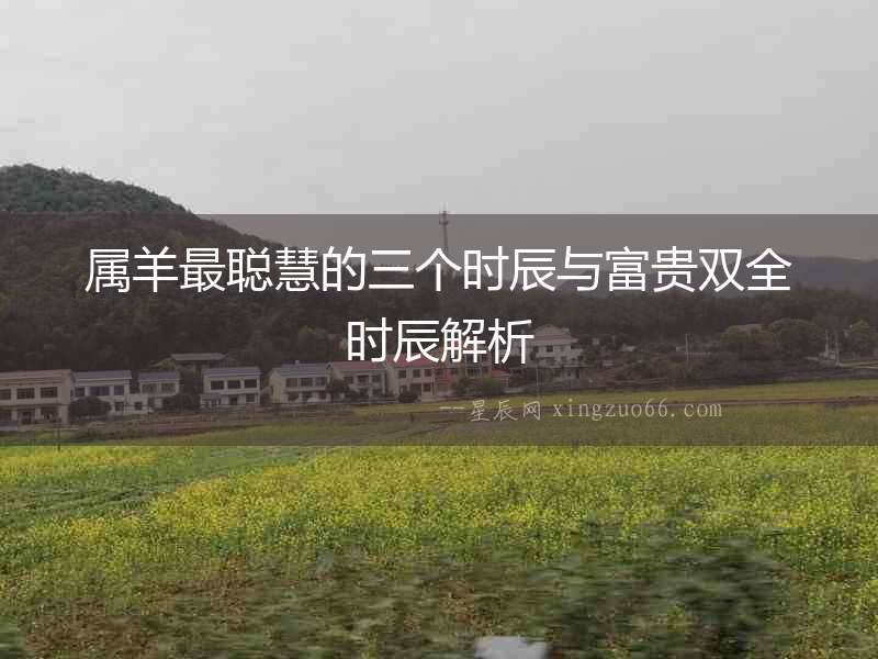 屬羊最聰慧的三個時辰與富貴雙全時辰解析