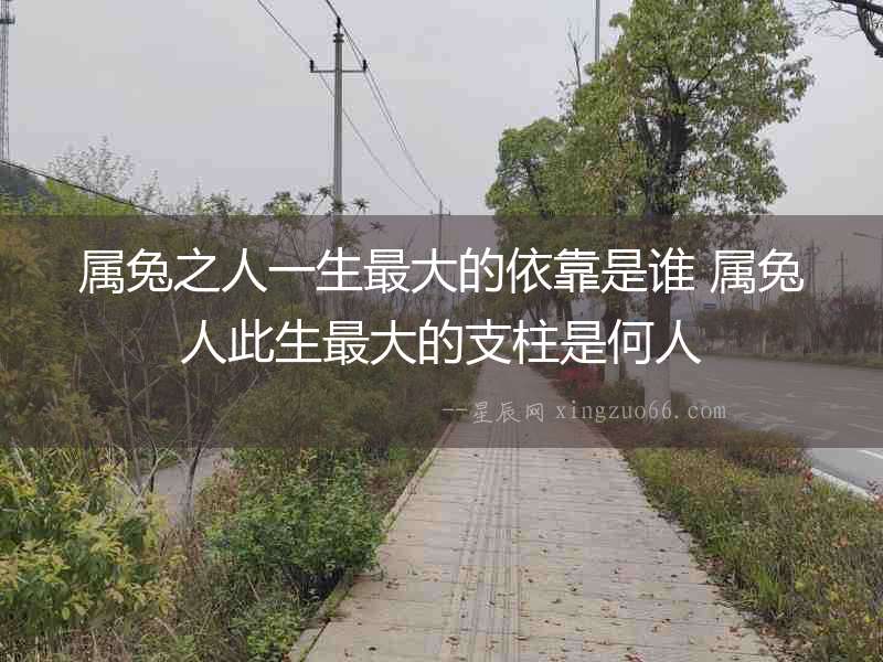屬兔之人一生最大的依靠是誰 屬兔人此生最大的支柱是何人