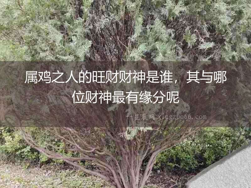 屬雞之人的旺財財神是誰，其與哪位財神最有緣分呢