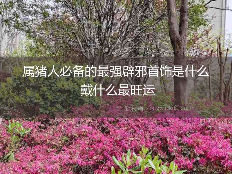 屬豬人必備的最強(qiáng)辟邪首飾是什么 戴什么最旺運